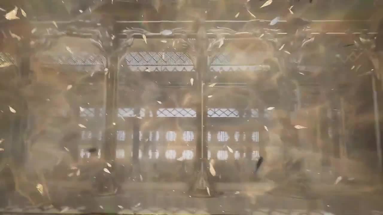 Серия 1