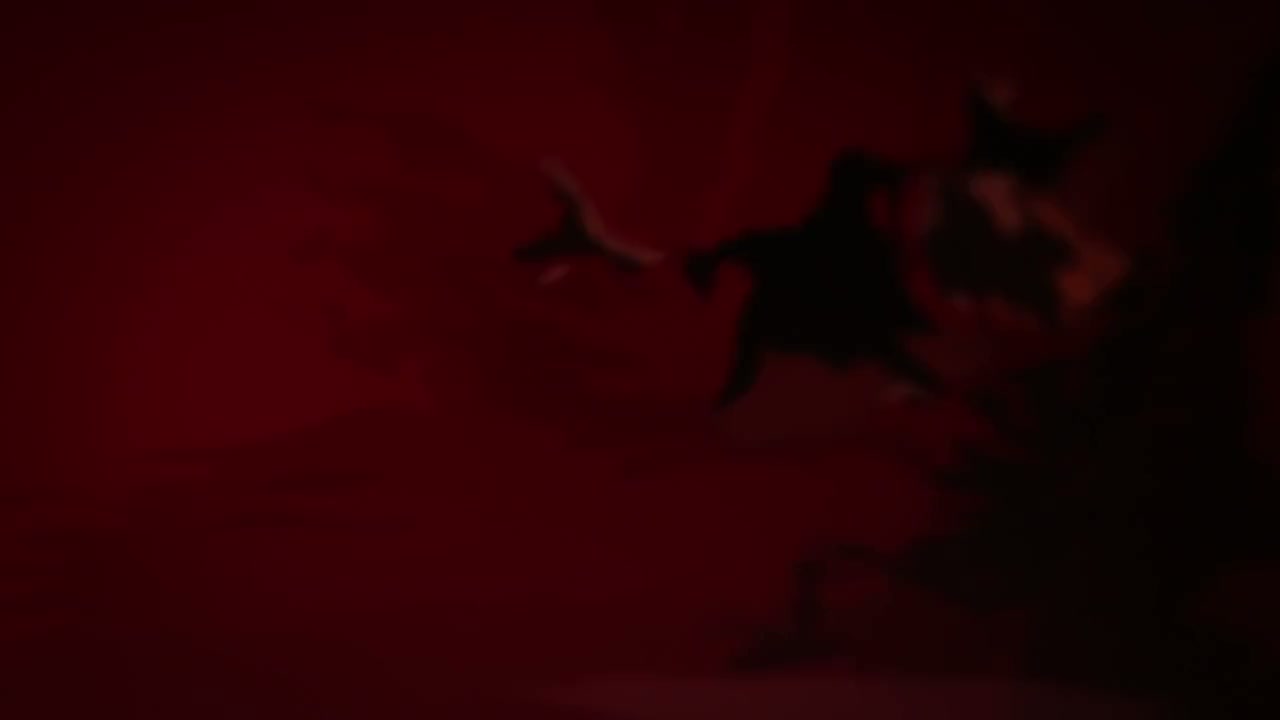 Серия 2
