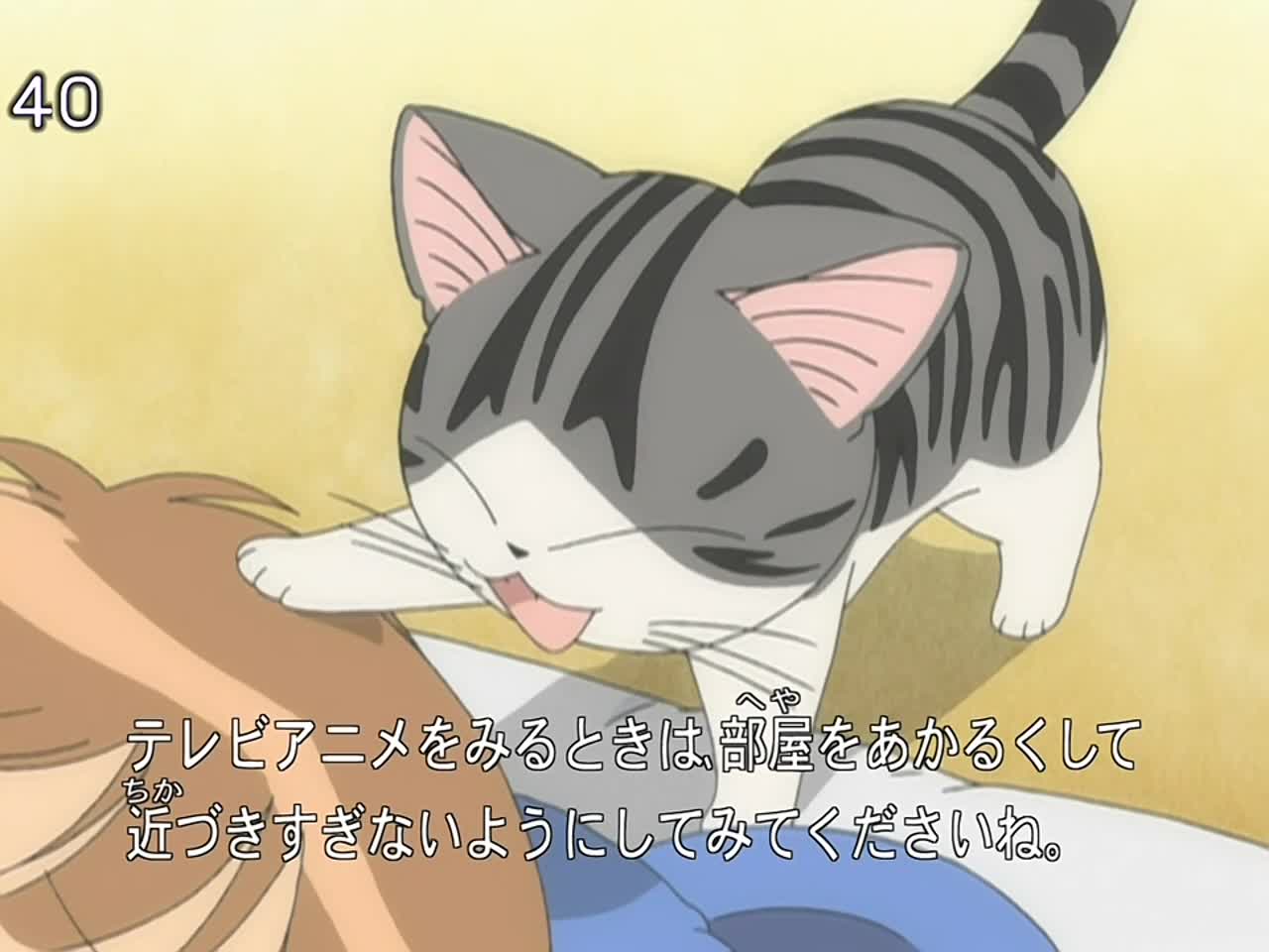 Chi's Sweet Home — episode 12