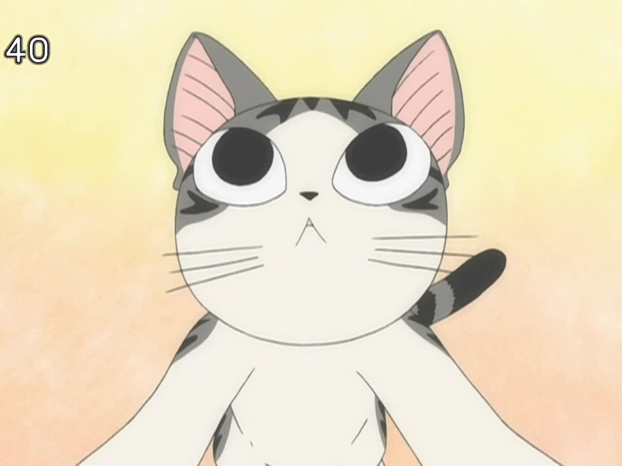 Chi's Sweet Home — episode 14