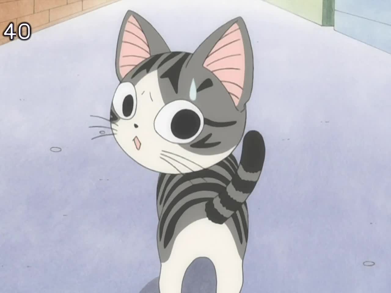 Chi's Sweet Home — episode 18