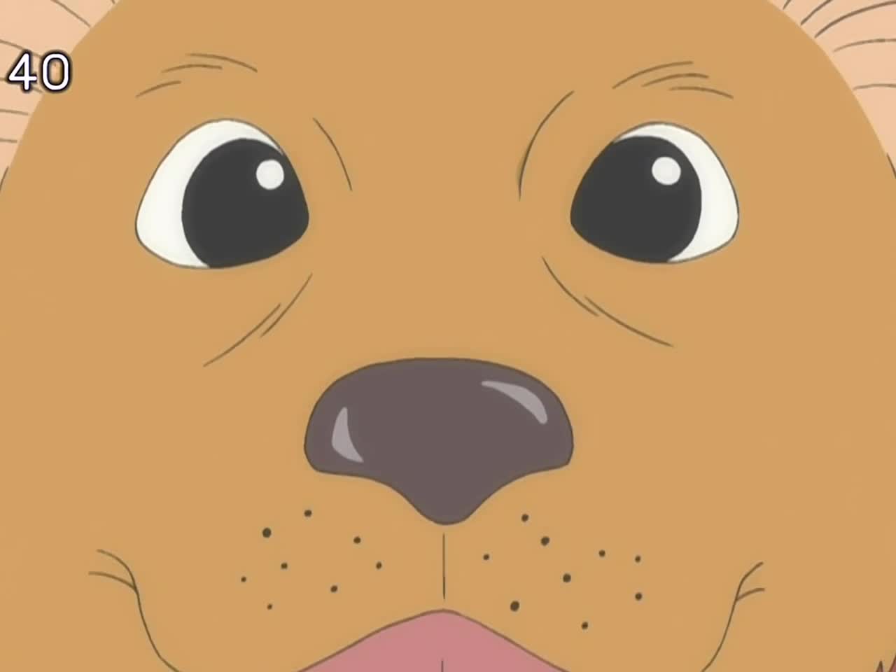 Chi's Sweet Home — episode 23