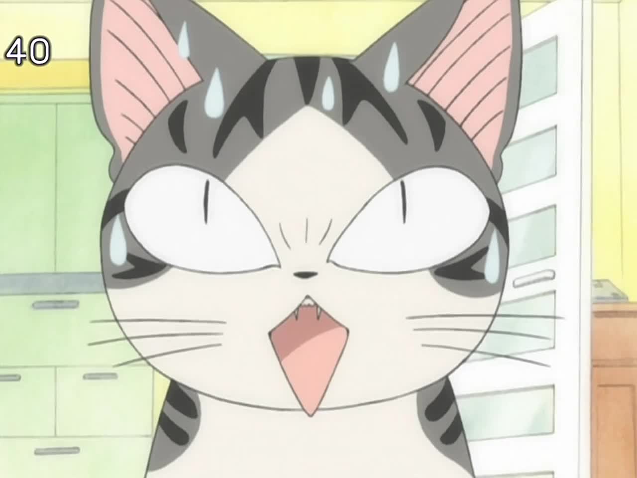 Chi's Sweet Home — episode 24