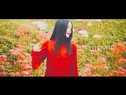 Клип — «Evergreen» — sajou no hana