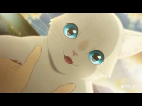 Trailer — PV2