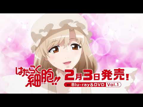 Реклама — Blu-ray&DVD