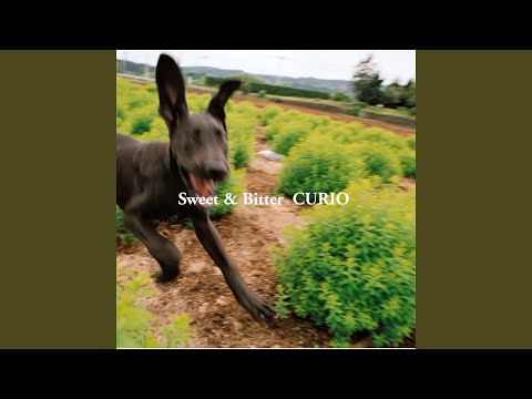 Опенинг — OP3 Full