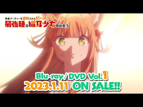 Commercial — Blu-ray&DVD