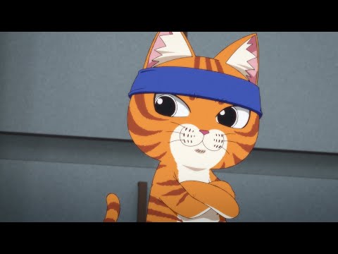 Трейлер — PV1