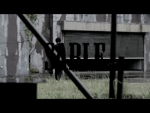 Clip — «SABLE» — nano