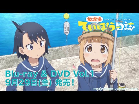 Реклама — Blu-ray&DVD
