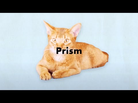 Клип — «Prism» — AmPm, Miyuna