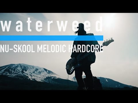Clip — «Deep inside» — waterweed