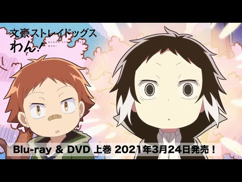 Реклама — Blu-ray&DVD