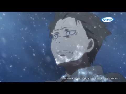 Трейлер Animax