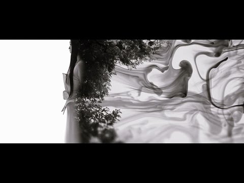 Клип — «Paradisus-Paradoxum» — MYTH & ROID
