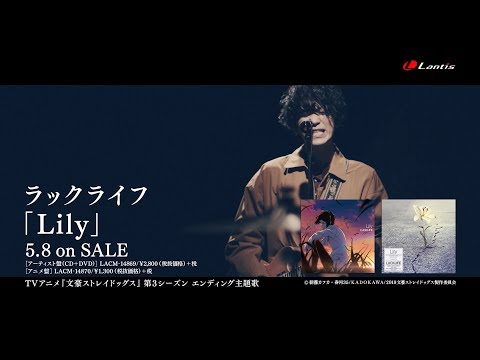 Клип — «Lily» — Luck Life