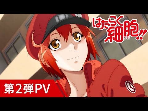 Трейлер — PV2