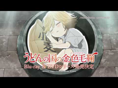 Реклама — Blu-ray&DVD