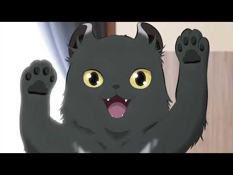 Трейлер — PV1
