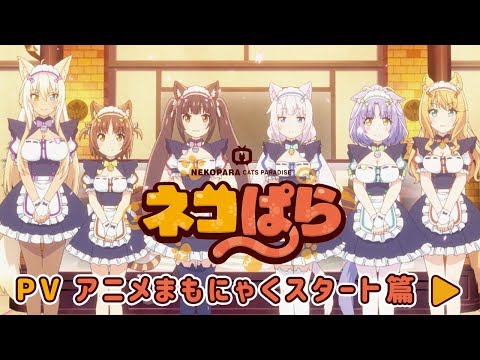 Trailer — PV1