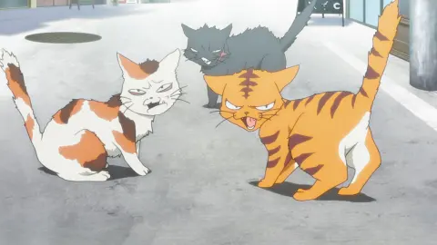 Hayate the Combat Butler! Cuties still 3