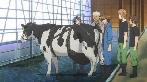 Silver Spoon 2nd Season still 6