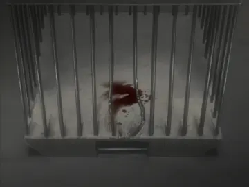 Wolf's Rain still 9