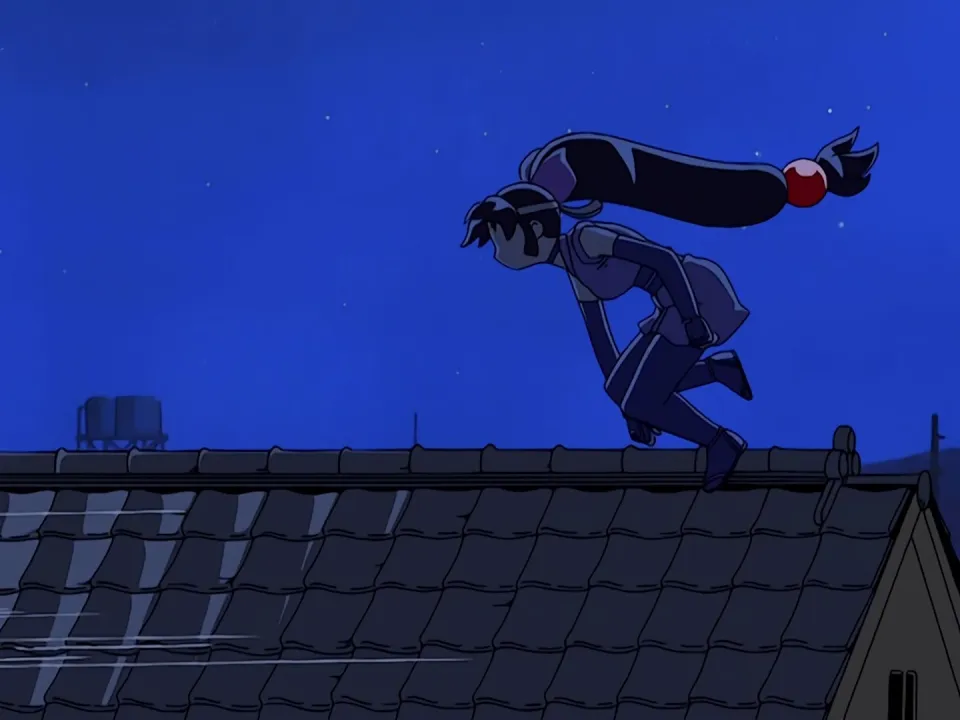 Ninja Nonsense