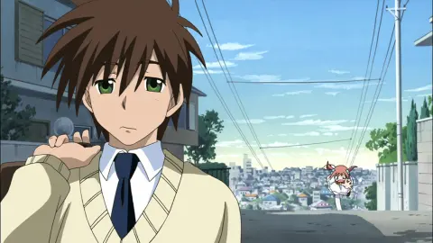 Moetan still 5