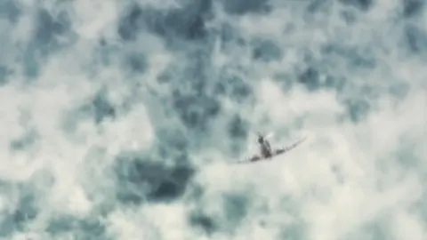 The Sky Crawlers still 2