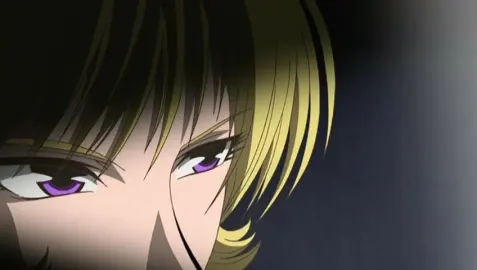 Papillon Rose still 8