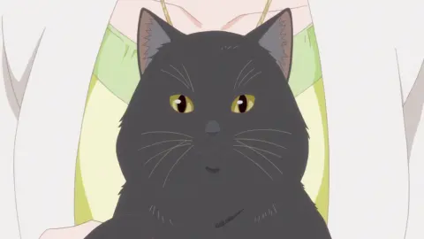 She and Her Cat: Everything Flows still 6
