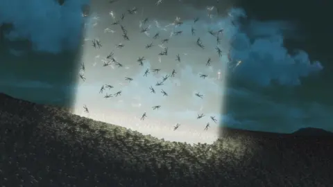 The Silver Guardian still 10