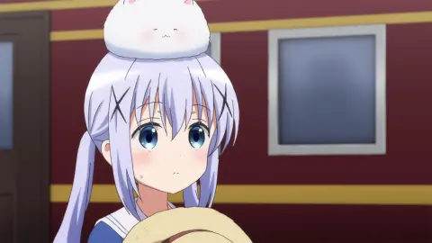 Is the Order a Rabbit?? Dear My Sister still 11