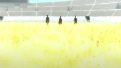 Love Rice still 4