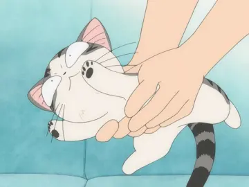 Chi's Sweet Home still 11