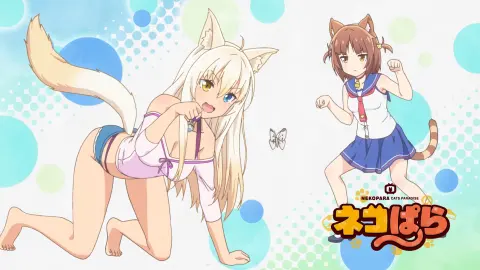 Nekopara still 3