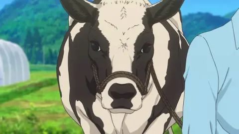 Non Non Biyori Nonstop still 3