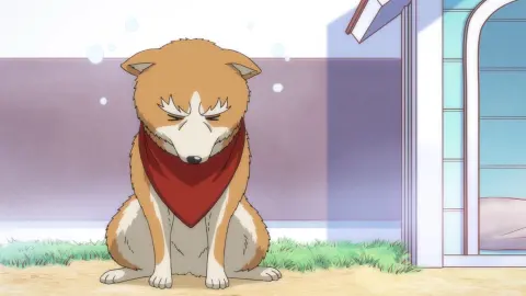 Oda Cinnamon Nobunaga still 10