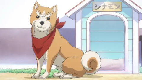 Oda Cinnamon Nobunaga still 8