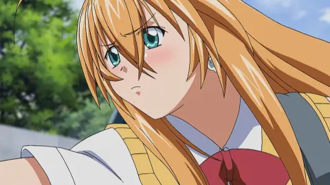 Ikkitousen: Great Guardians still 12