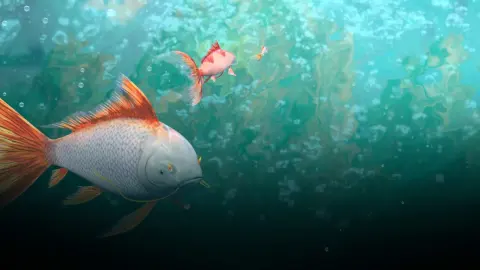 Carp Reborn still 11