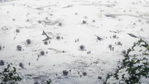 Kingdom Season 4 still 7