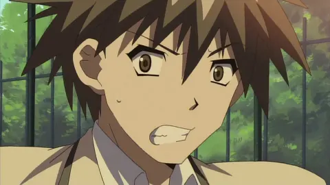 Akikan! still 2