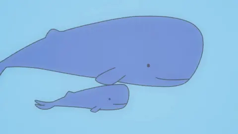 Little Shark's Outings still 10