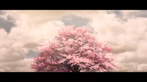 Kizumonogatari: Koyomi Vamp still 9