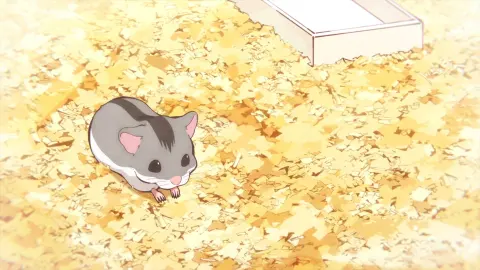After-School Hanako-kun Part 2 still 7
