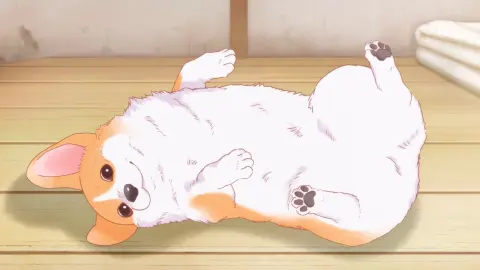 The Corgi and the Samurai still 10