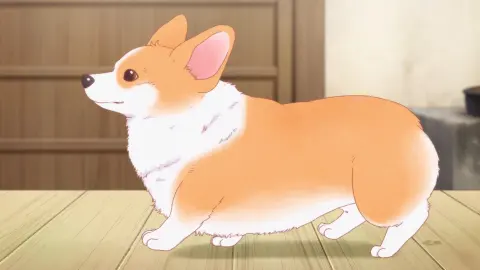 The Corgi and the Samurai still 12